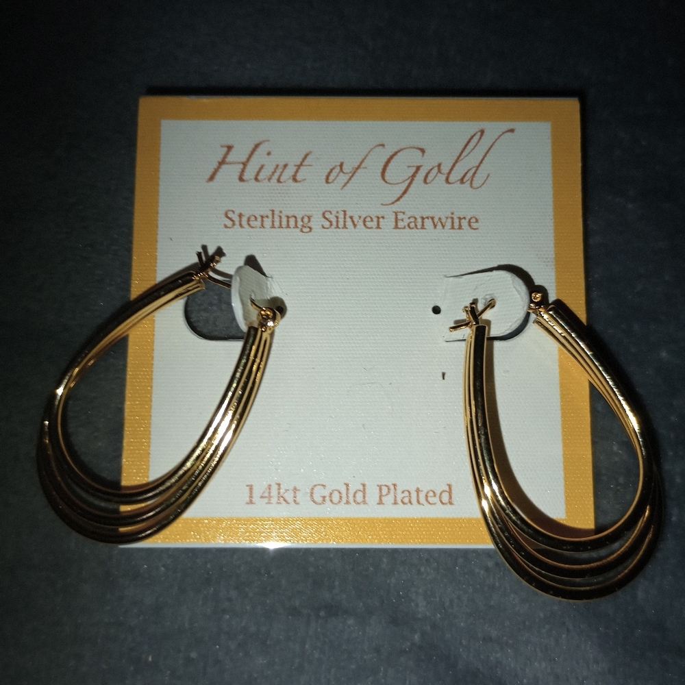 New Gold Plated Earrings